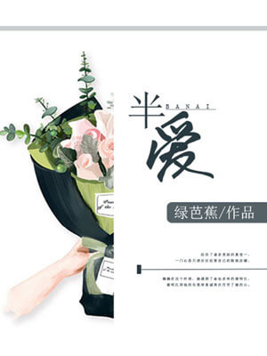 半爱小说封面