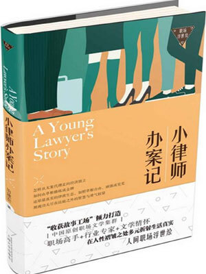 小律师办案记小说封面