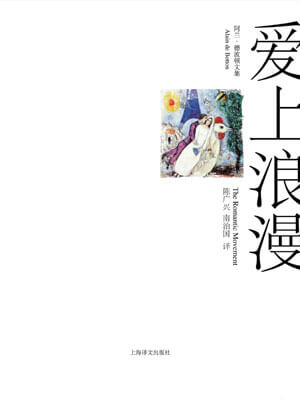 爱上浪漫小说封面