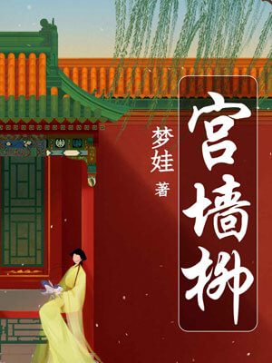 宫墙柳小说封面