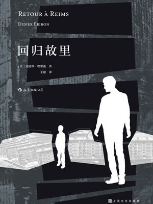回归故里小说封面