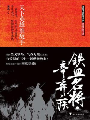 铁血名将：辛弃疾小说封面
