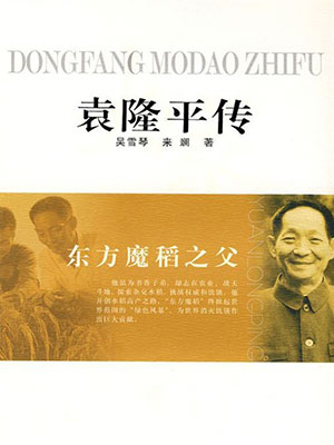袁隆平传小说封面