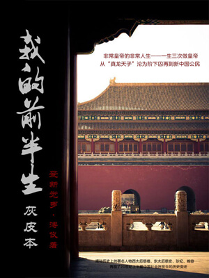 我的前半生小说封面