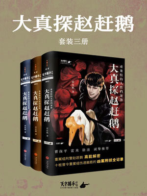 大真探赵赶鹅(树影迷宫)小说封面