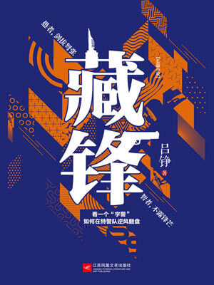 藏锋小说封面