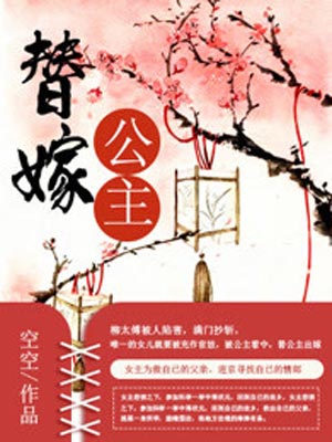 替嫁公主(替嫁医女)小说封面