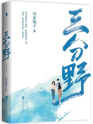 三分野小说封面