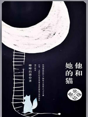 她和她的猫小说封面