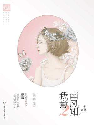 南风知我意2小说封面