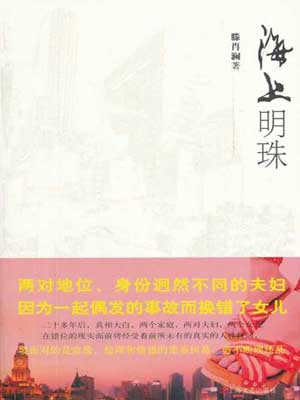 海上明珠小说封面