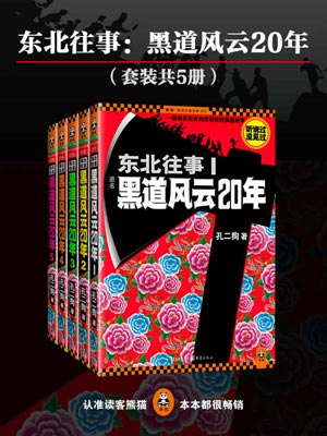 东北往事:黑道风云20年小说封面
