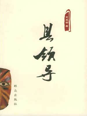 县领导小说封面