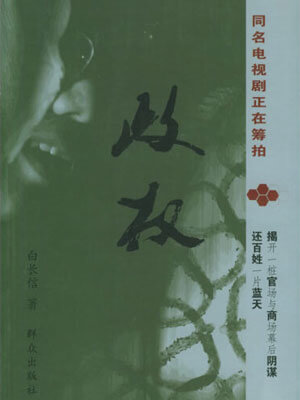 政权小说封面
