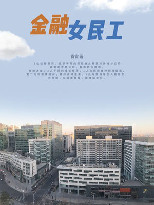金融女民工小说封面