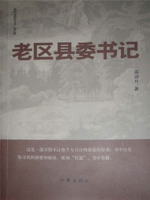 老区县委书记小说封面