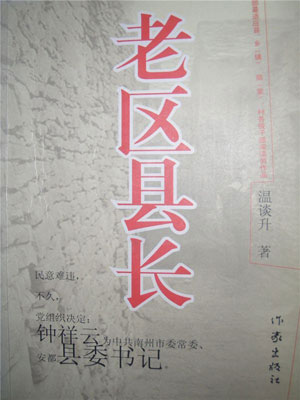 老区县长小说封面