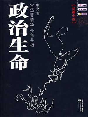 政治生命小说封面