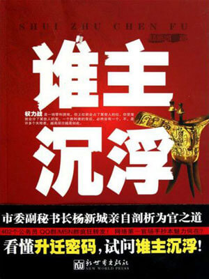 谁主沉浮小说封面