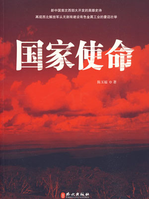 国家使命小说封面