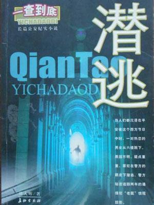 潜逃小说封面