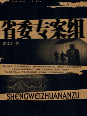 省委专案组小说封面