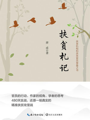 扶贫札记小说封面