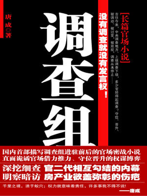 调查组小说封面
