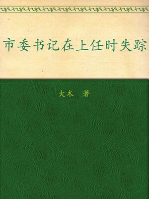 市委书记在上任时失踪小说封面