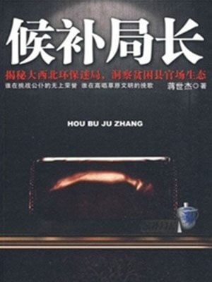候补局长小说封面