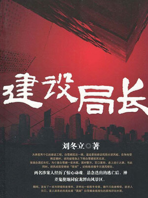 建设局长小说封面