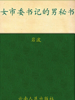 女市委书记的男秘书小说封面