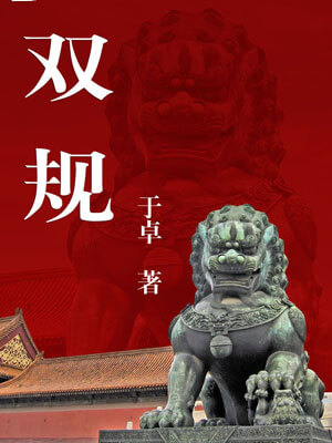 双规小说封面