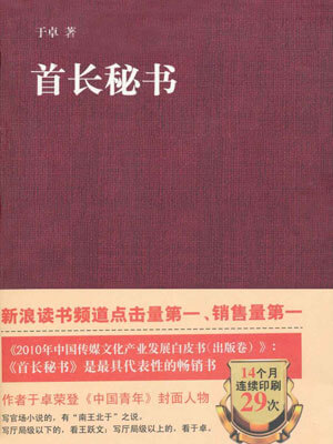 首长秘书小说封面