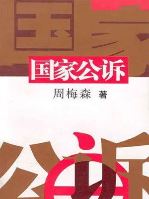 国家公诉小说封面