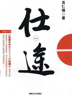 仕途小说封面