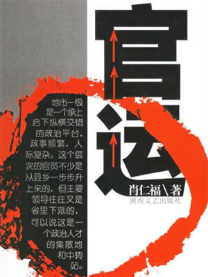 官运小说封面