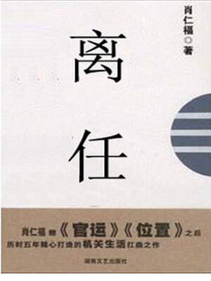 离任小说封面