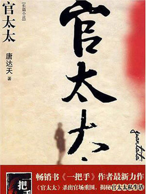 官太太小说封面