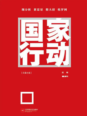 国家行动小说封面