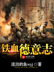 铁血德意志小说封面