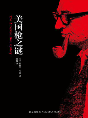 美国枪之谜