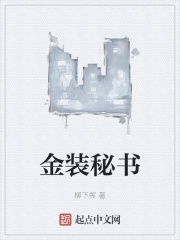 金装秘书小说封面