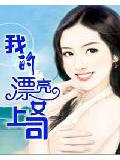 我的漂亮女上司小说封面