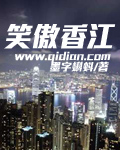 笑傲香江小说封面