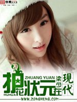 护花状元在现代小说封面