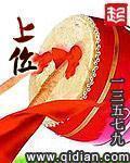 上位小说封面