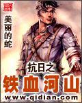 抗日之铁血河山小说封面