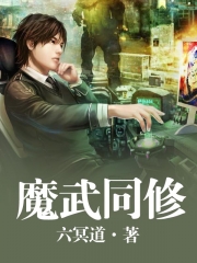 魔武同修小说封面