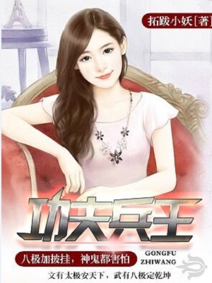 功夫兵王小说封面